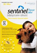 Sentinel